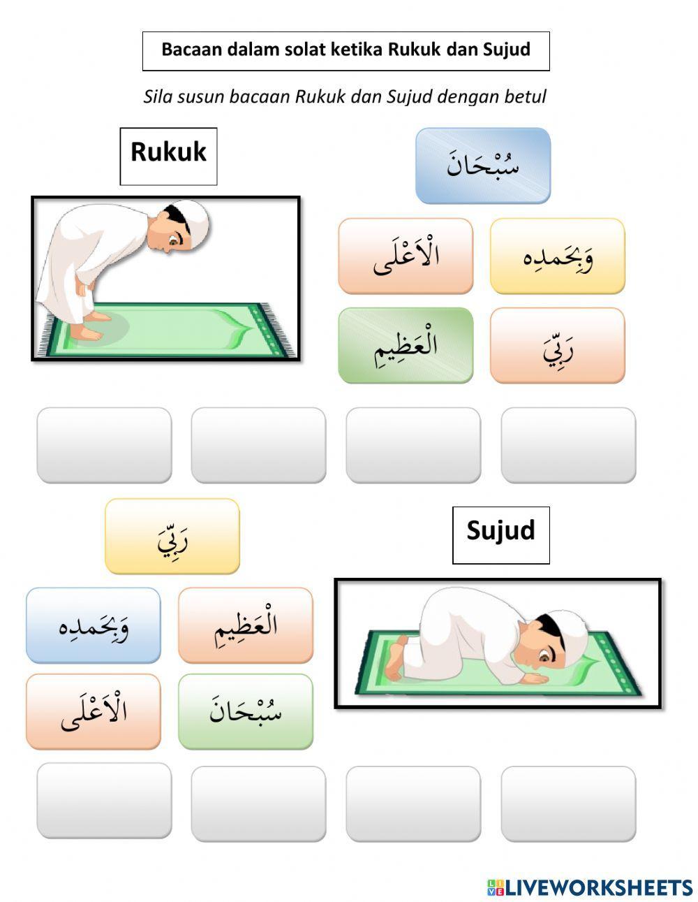 4233060-bacaan-ketika-rukuk-sujud-dan-duduk-diantara
