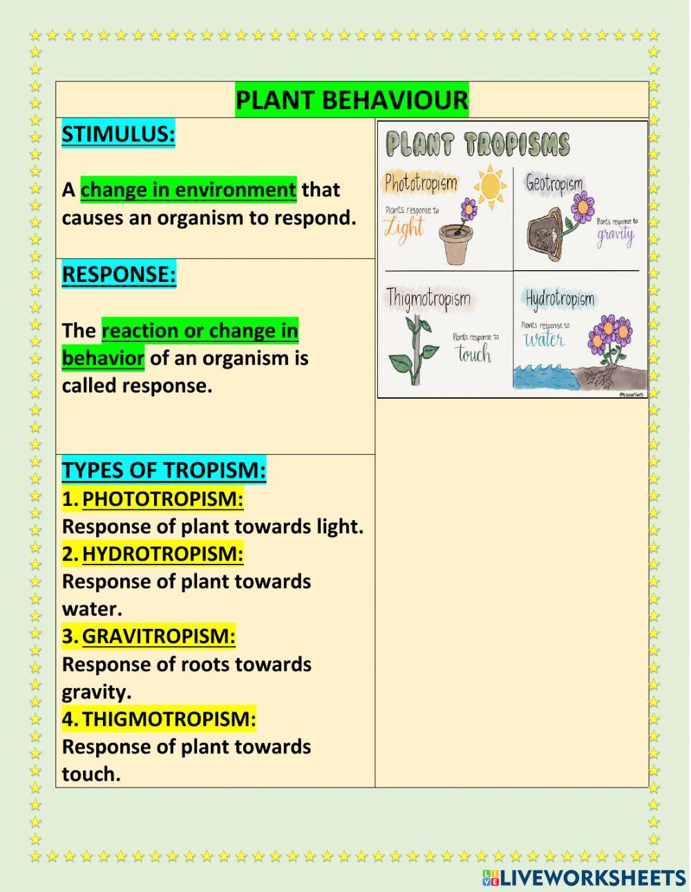 Grade 4 term 2 u4L1 -PLANT ADAPTATIONS PART 2