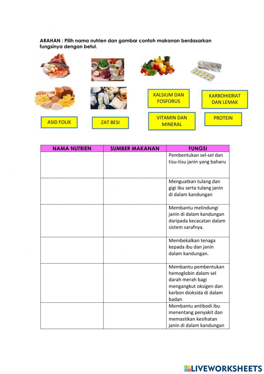 Keperluan nutrisi ibu hamil