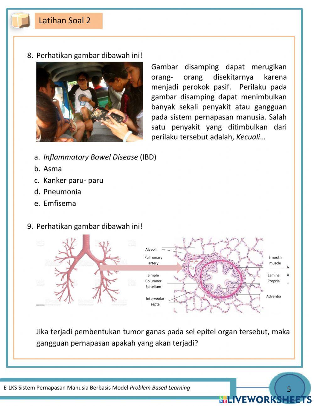 Latihan soal sistem pernapasan 2