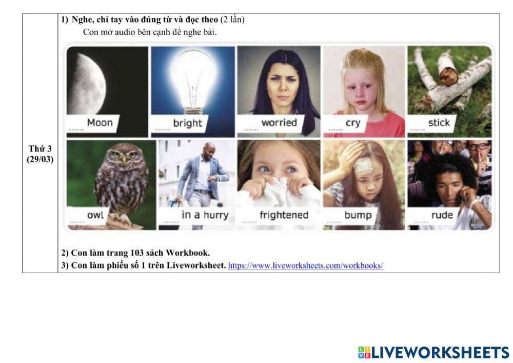 Phiếu HD học tuần 28-01.4