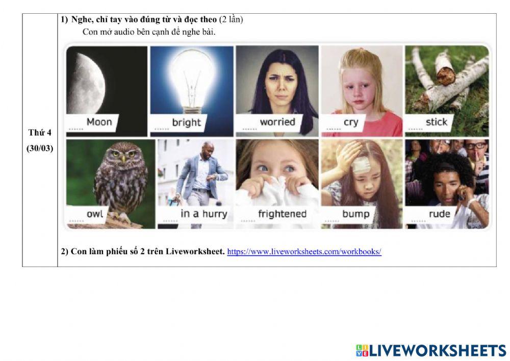 Phiếu HD học tuần 28-01.4