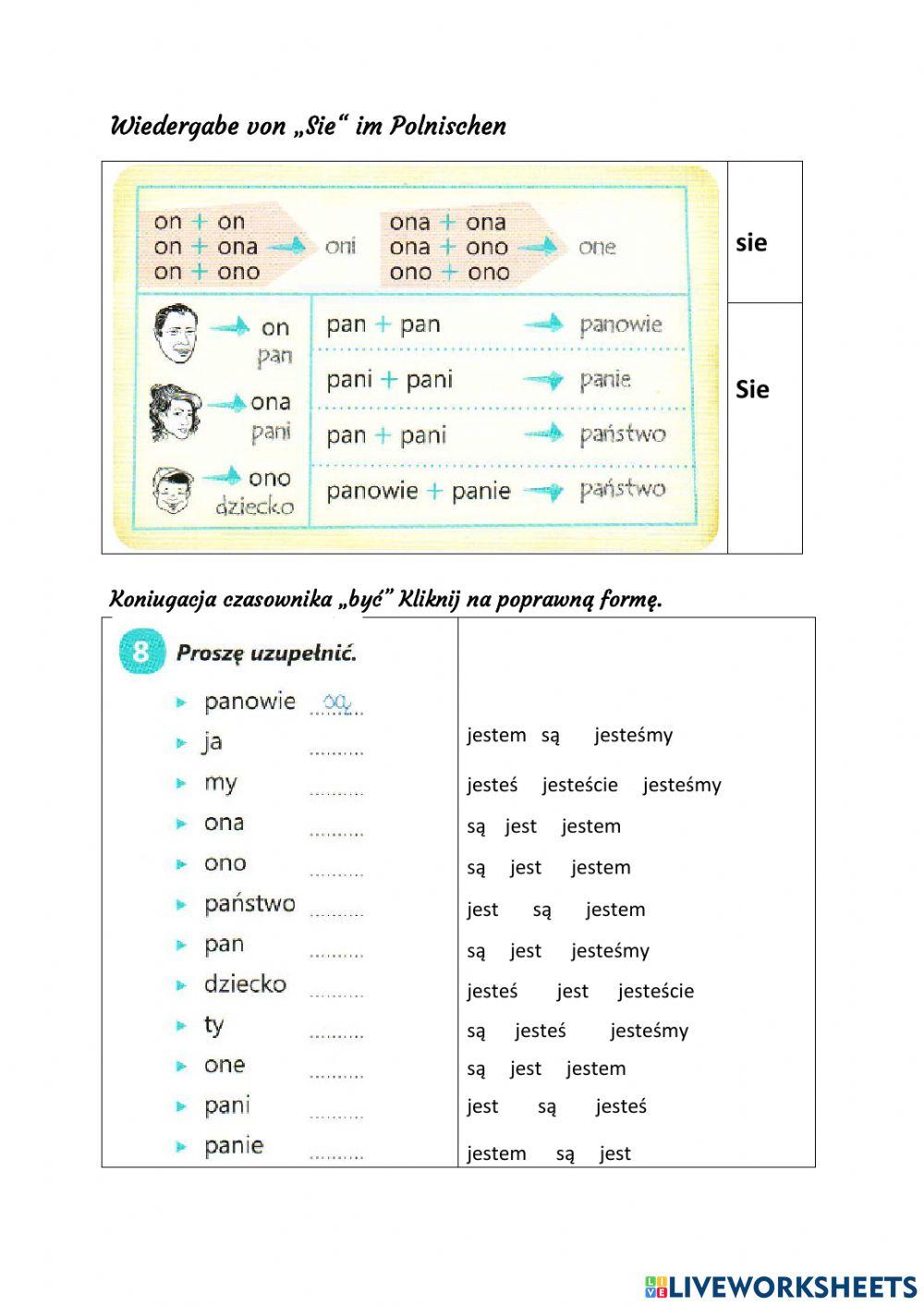 -Sie- und -sie- + Koniugacja -być-
