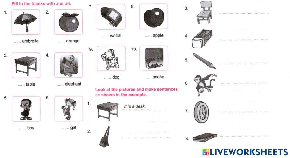 Sm sd 5 english articels:an, a the 1