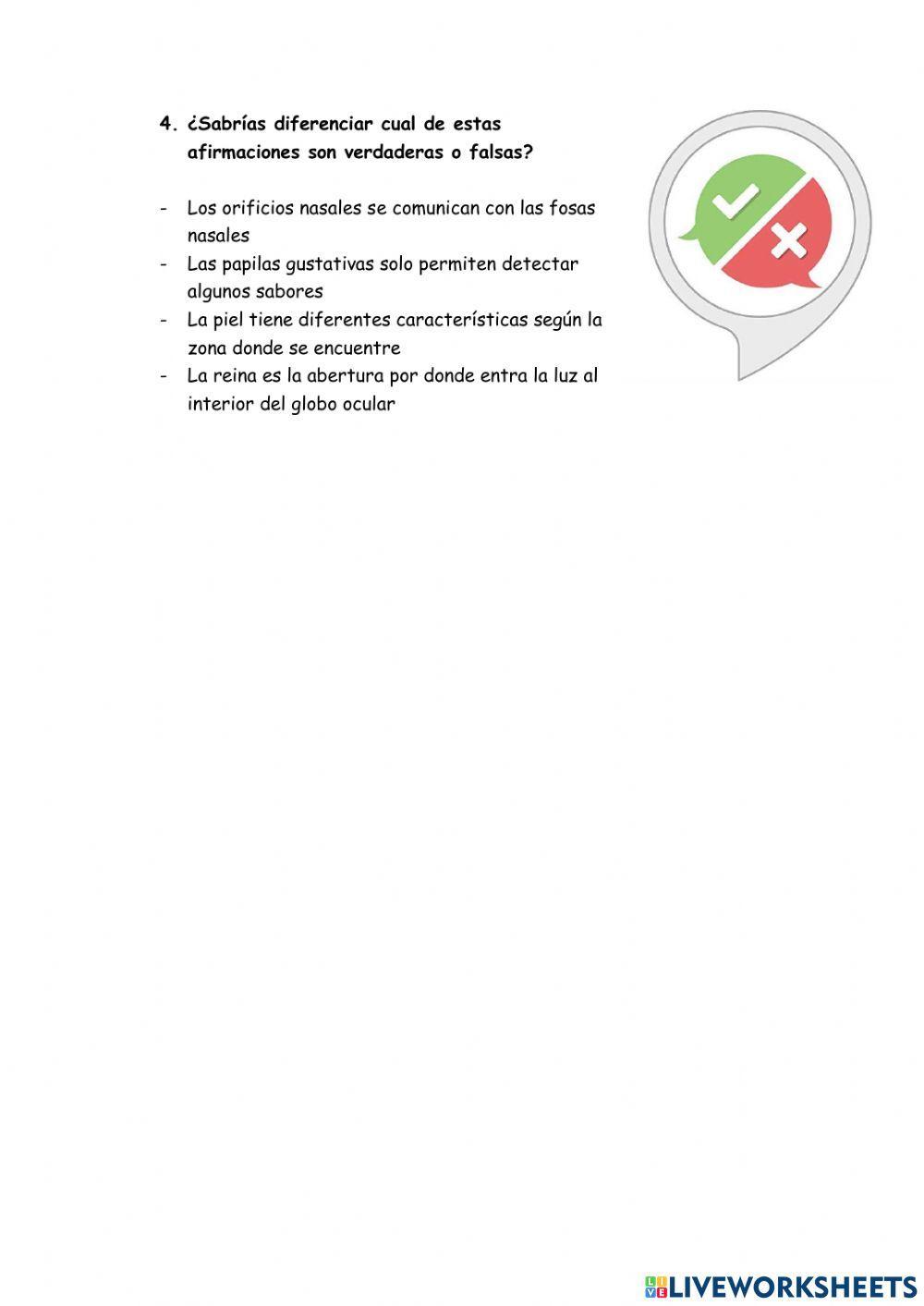 Función de relación y órganos de los sentidos