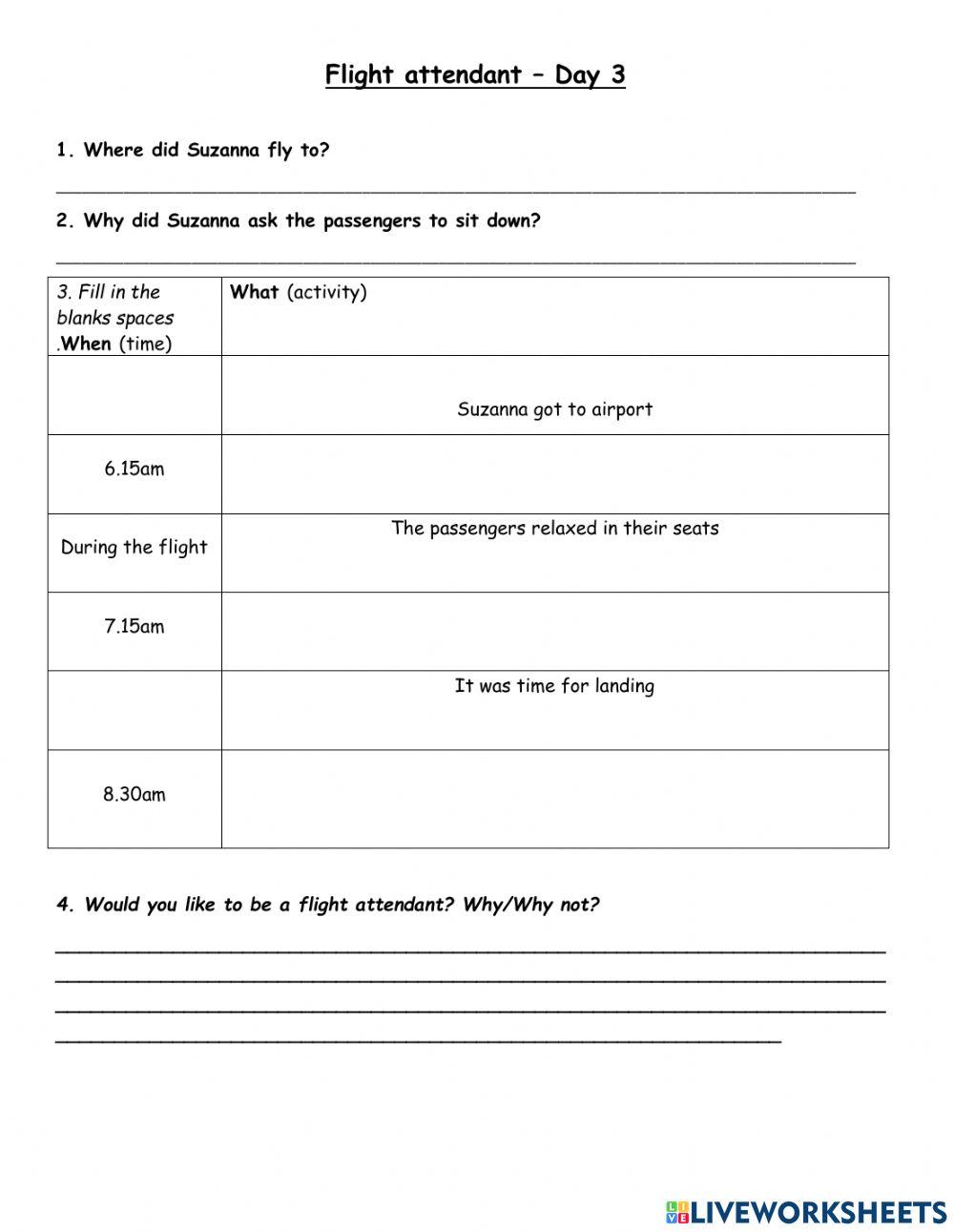 Occupation Flight attendent day 3