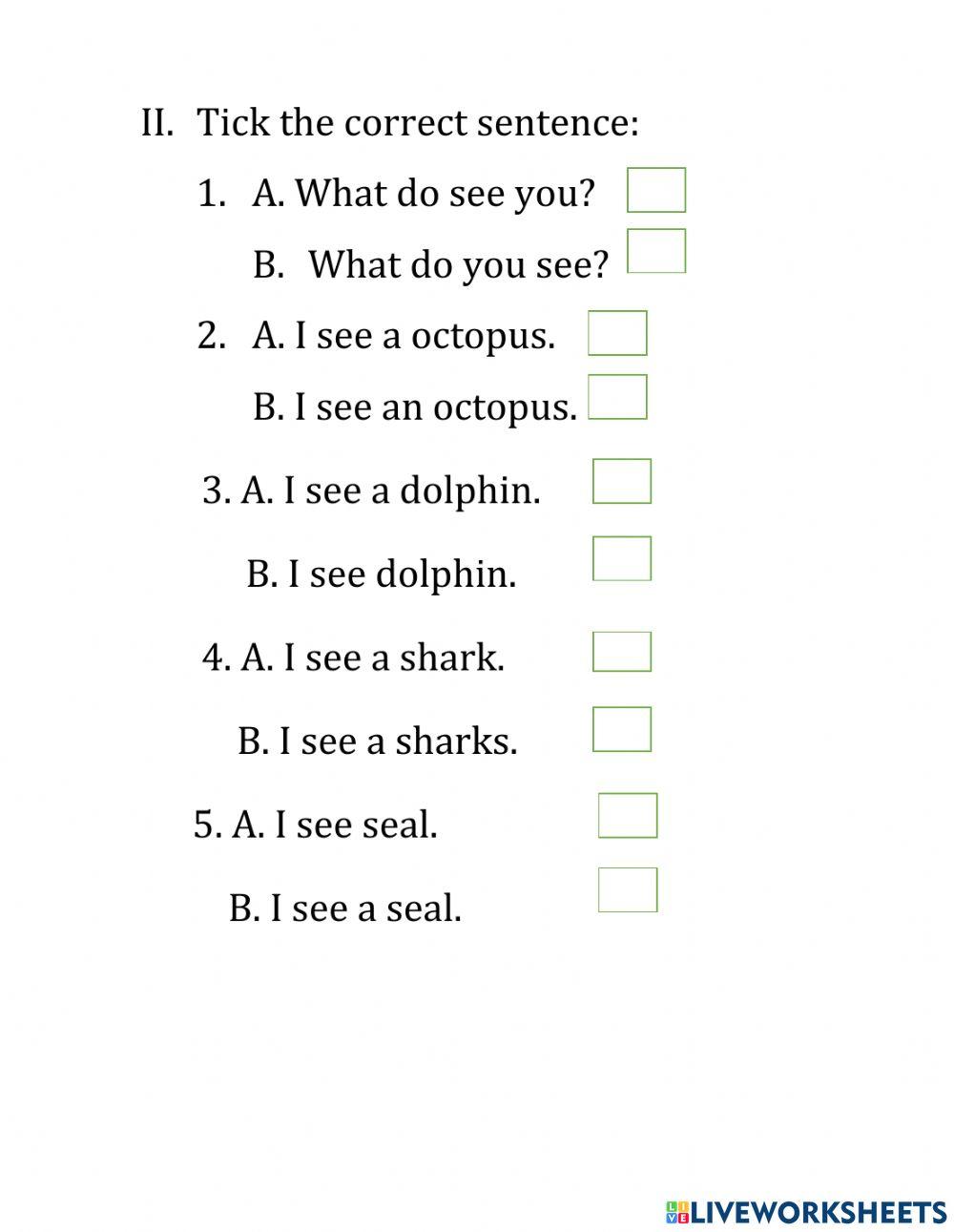 E4beginner - Sea animals