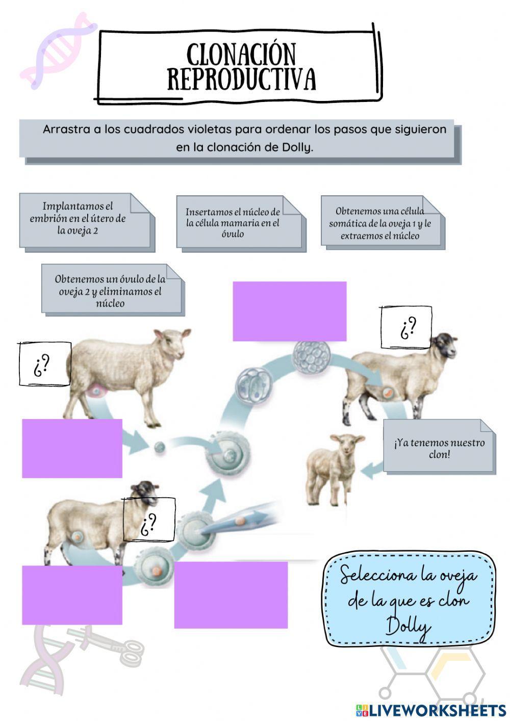 Ingeniería genética