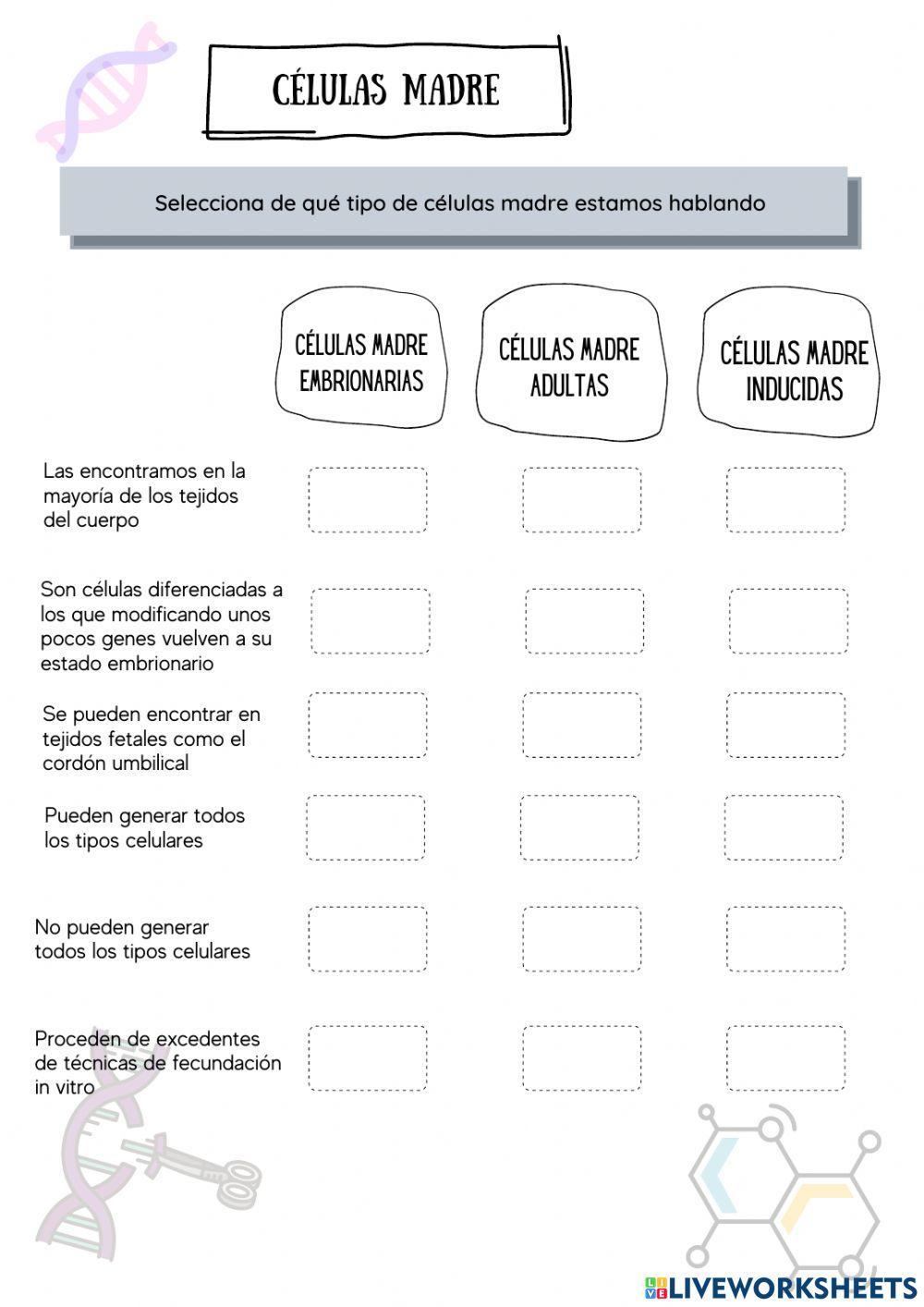 Ingeniería gené… | Free Interactive Worksheets | 1968481, image size:1000x1414