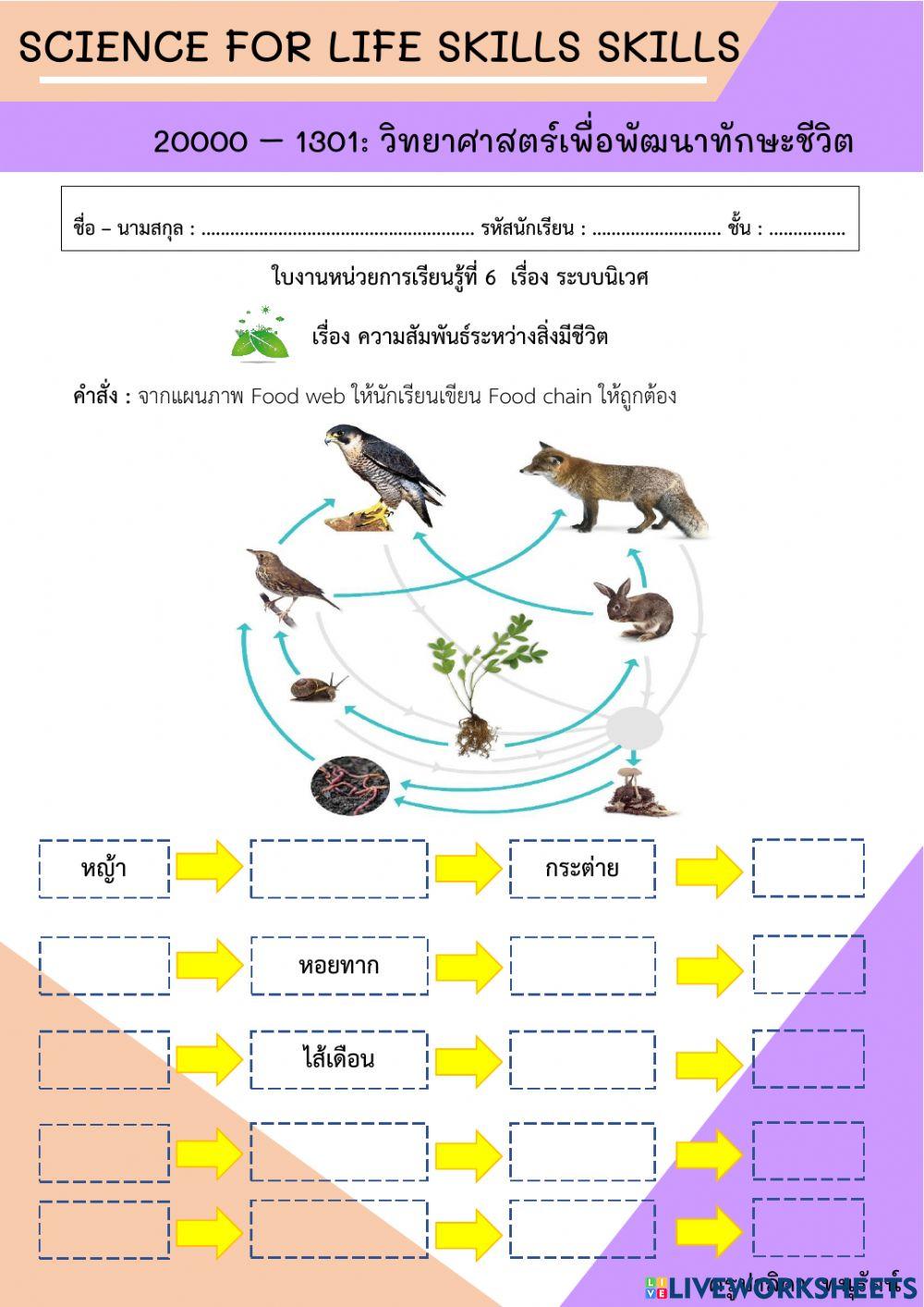 ห่วงโซ่อาหาร