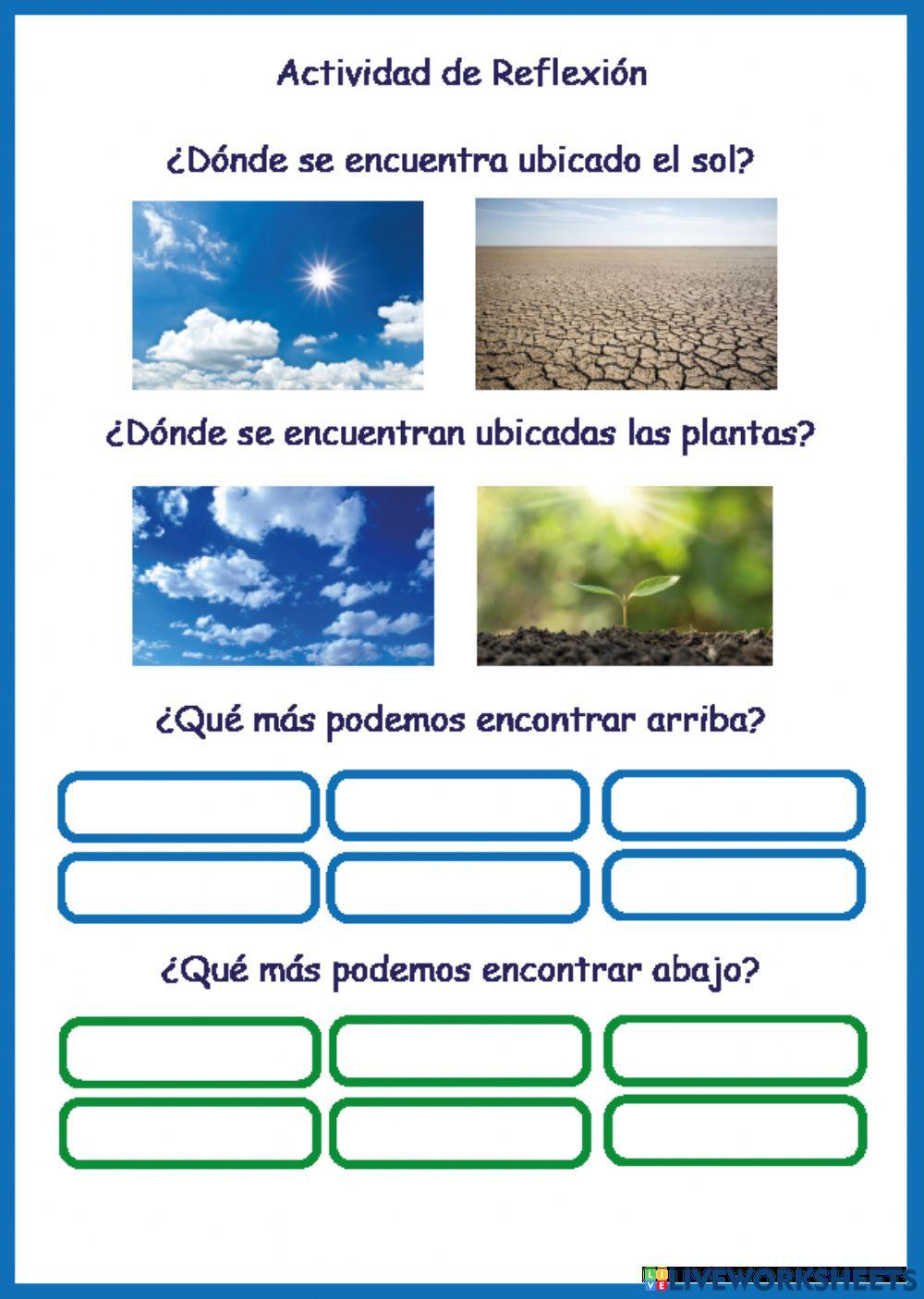 Actividad de reflexión