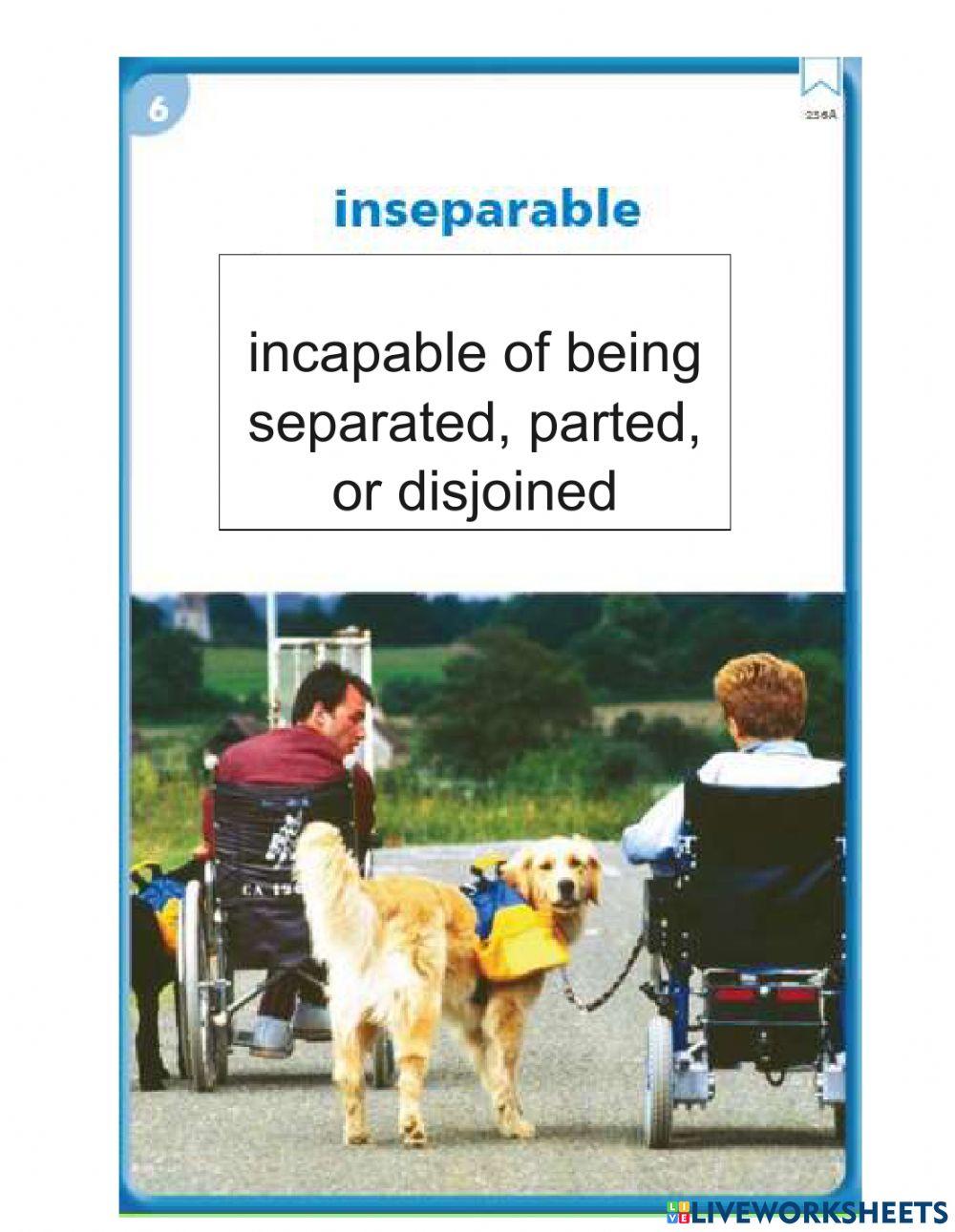 Vocabulary Words Lesson 24