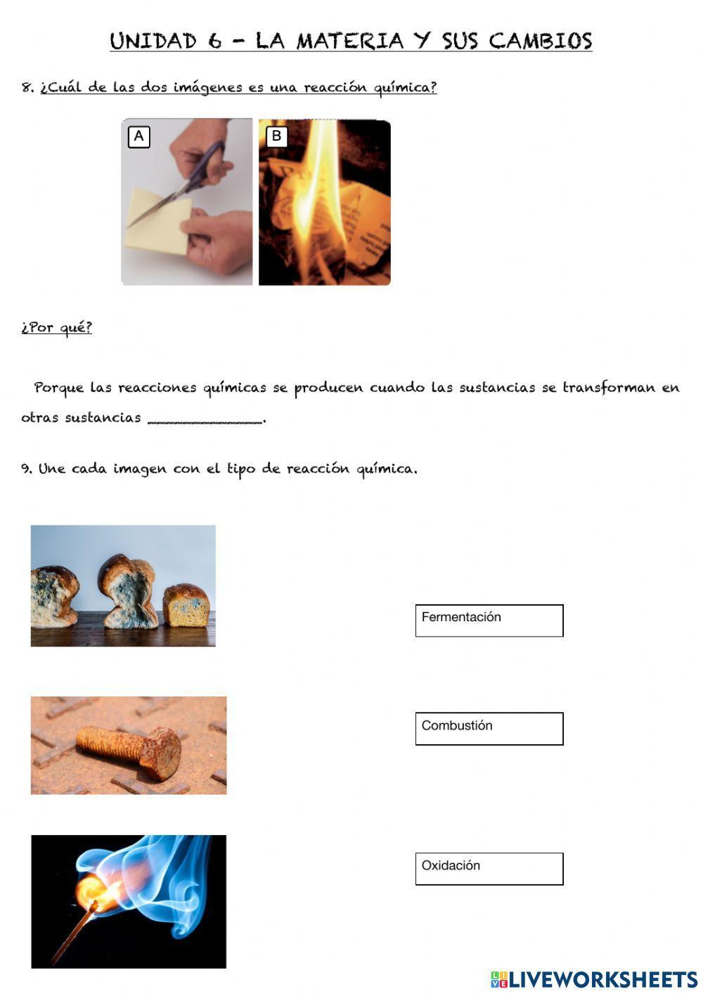 La materia y sus cambios (3)