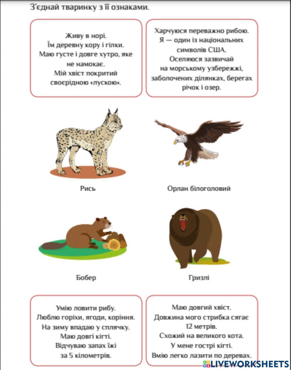 Тварини Канади