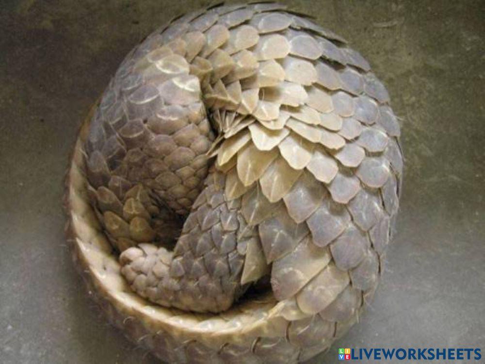 Ciri-ciri khas haiwan untuk berlindung daripada musuh