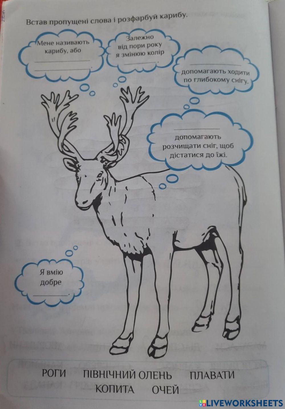 Український