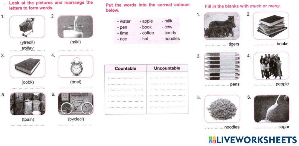 Sm sd 5 english quantifiers much many some any 1