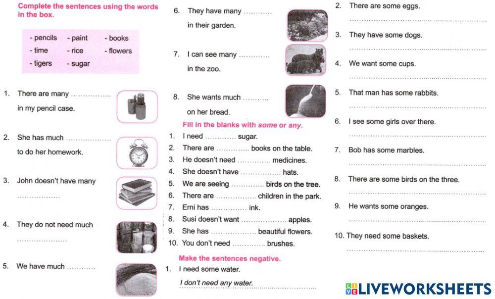 Sm sd 5 english quantifiers much many some any 2