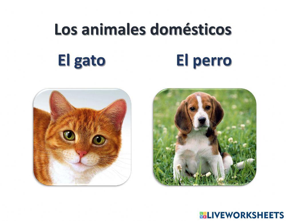 Español-3 Los animales domésticos