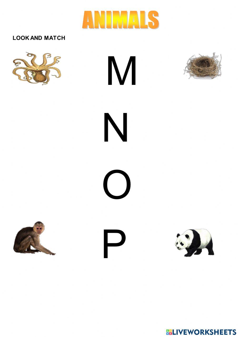 Letters M-N-O-P