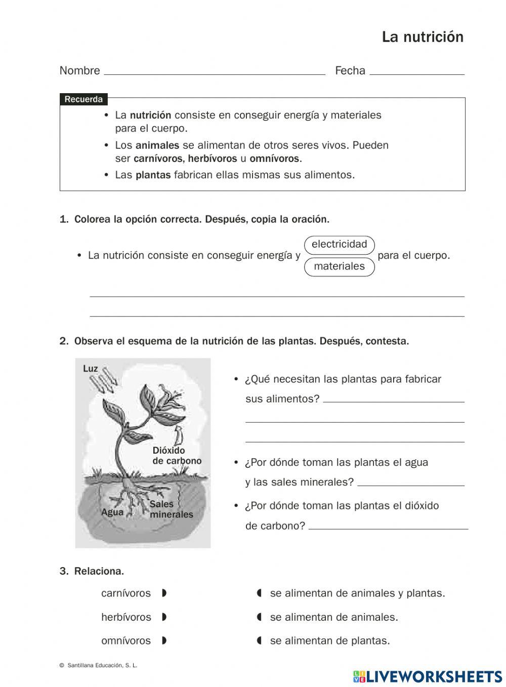 Nutrición de las Plantas