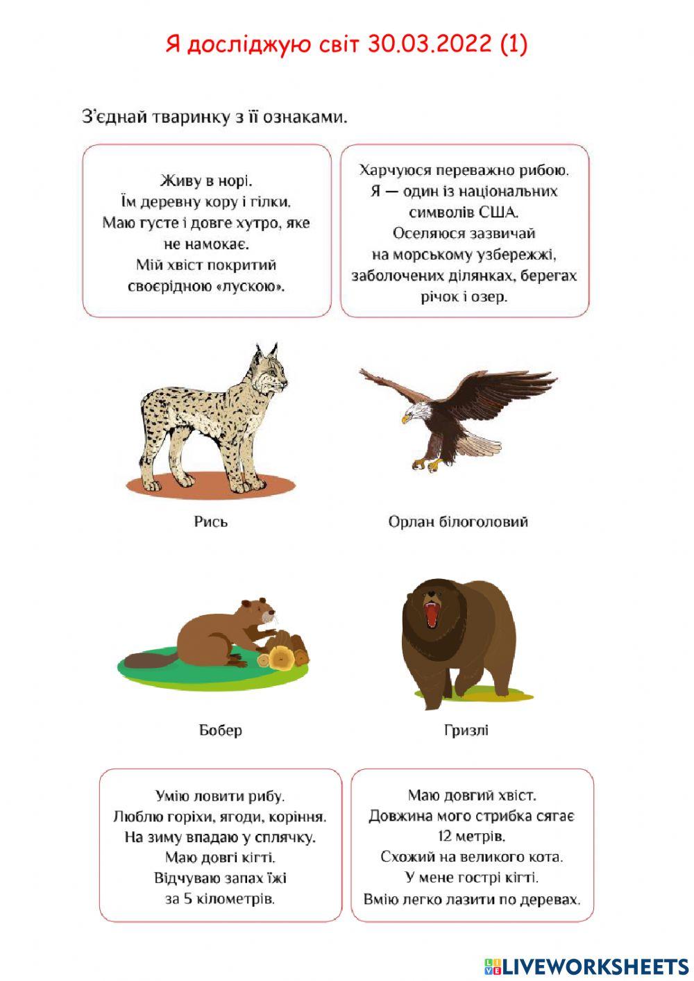 ЯДС Тварини Канади2