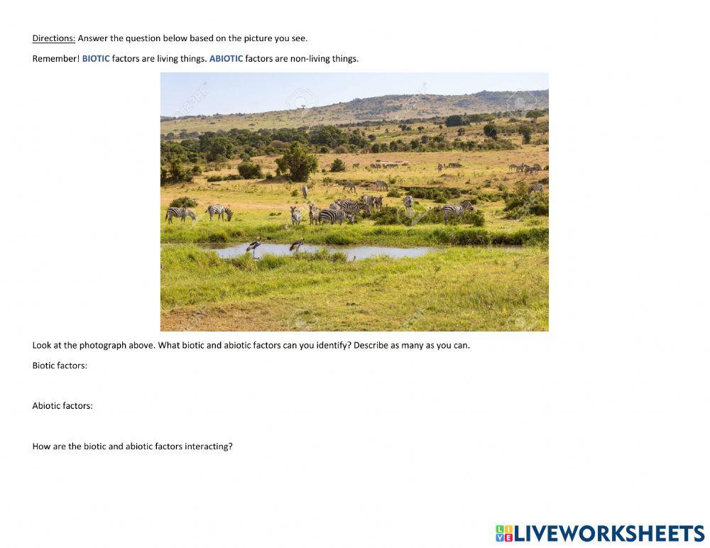 April 7 Vocab and Biomes