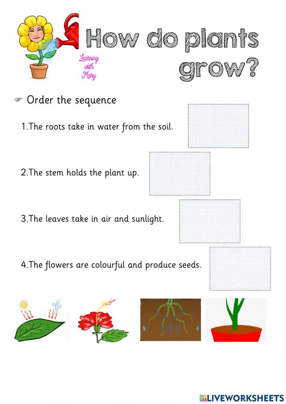 How do plants grow