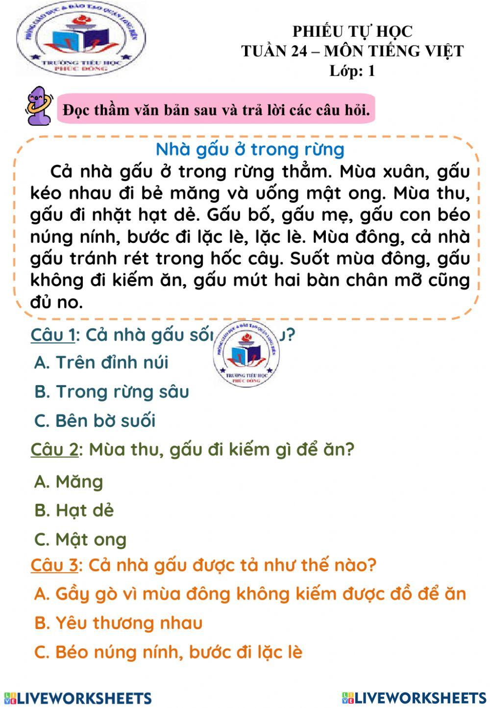 Phiếu TV Tuần 24