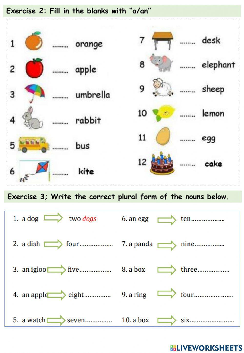 Starters- Family and friends- TEST