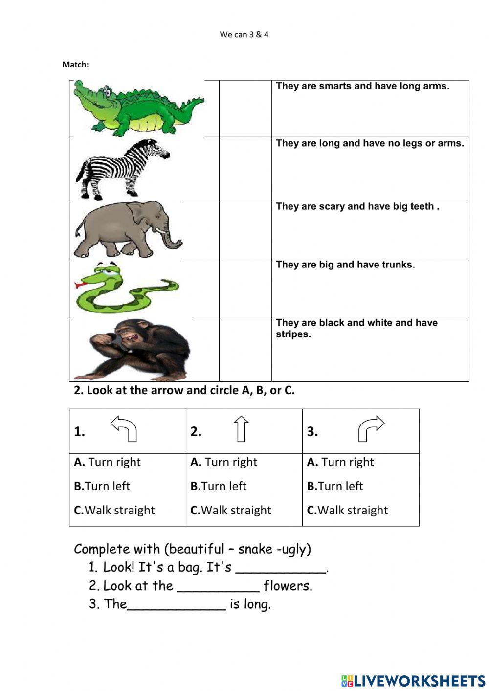 Fifth revision term2