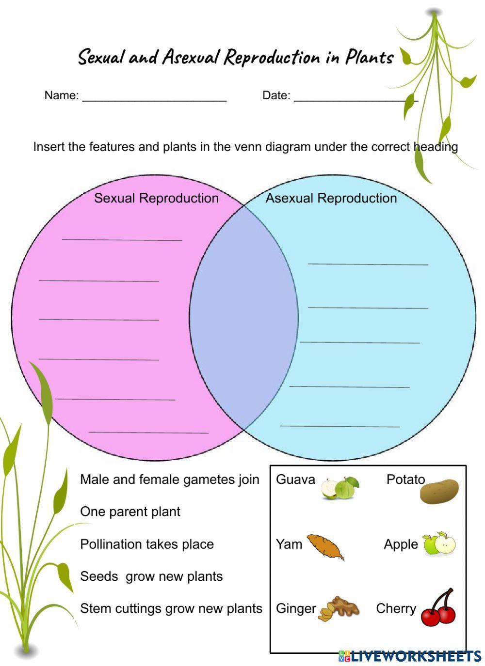 Sexual and Asexual Reproduction in Plants