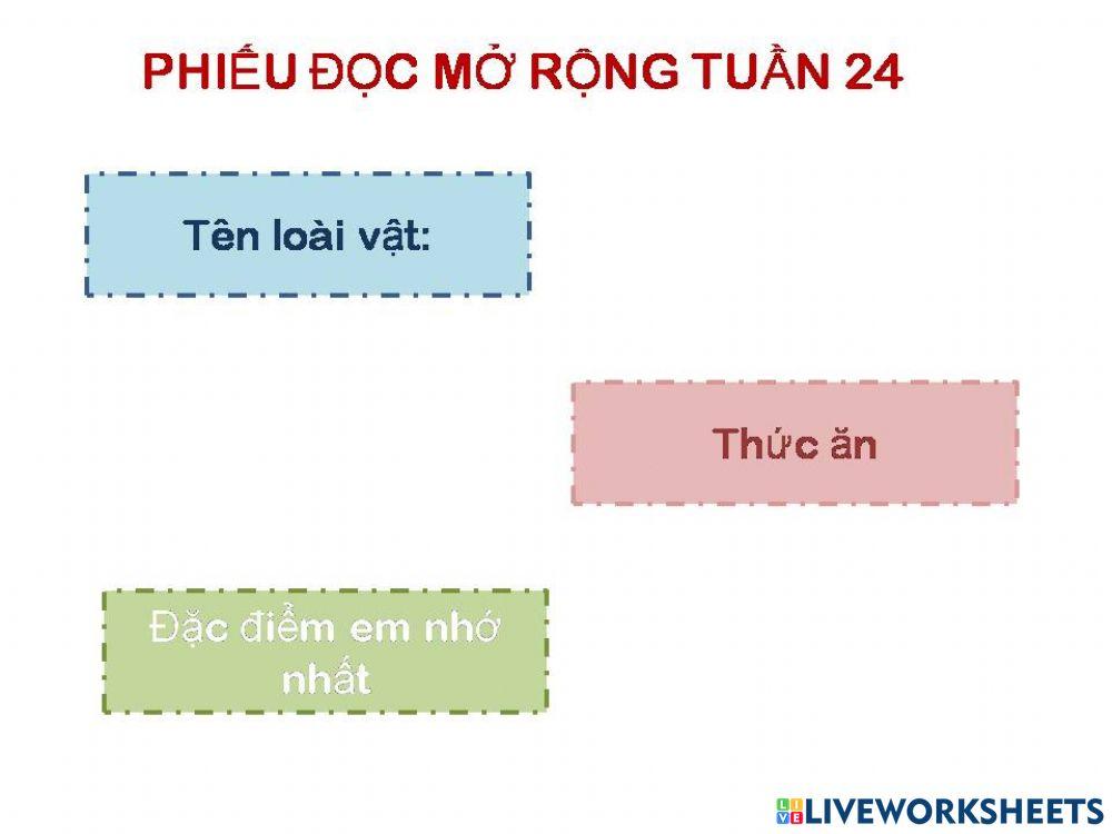 Đọc mở rộng t24