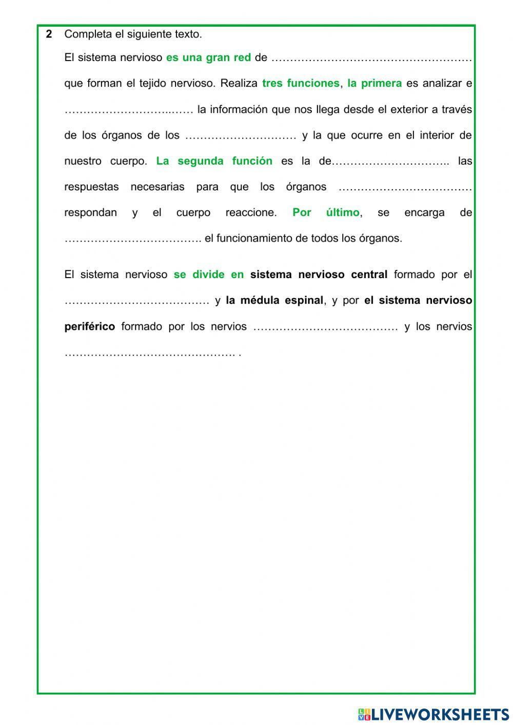 Las funciones vitales del ser humano