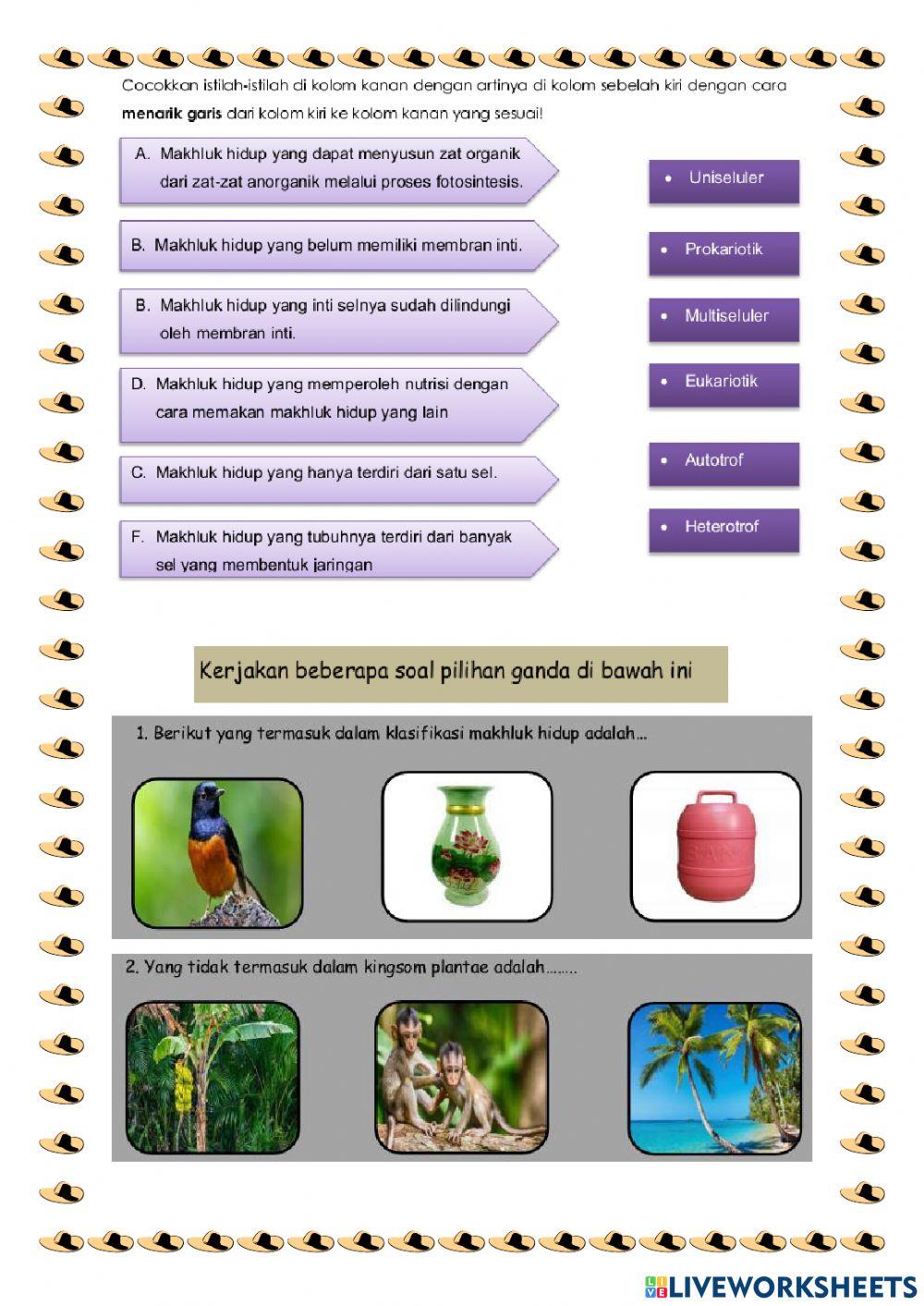 Klasifikasi Makhluk Hidup