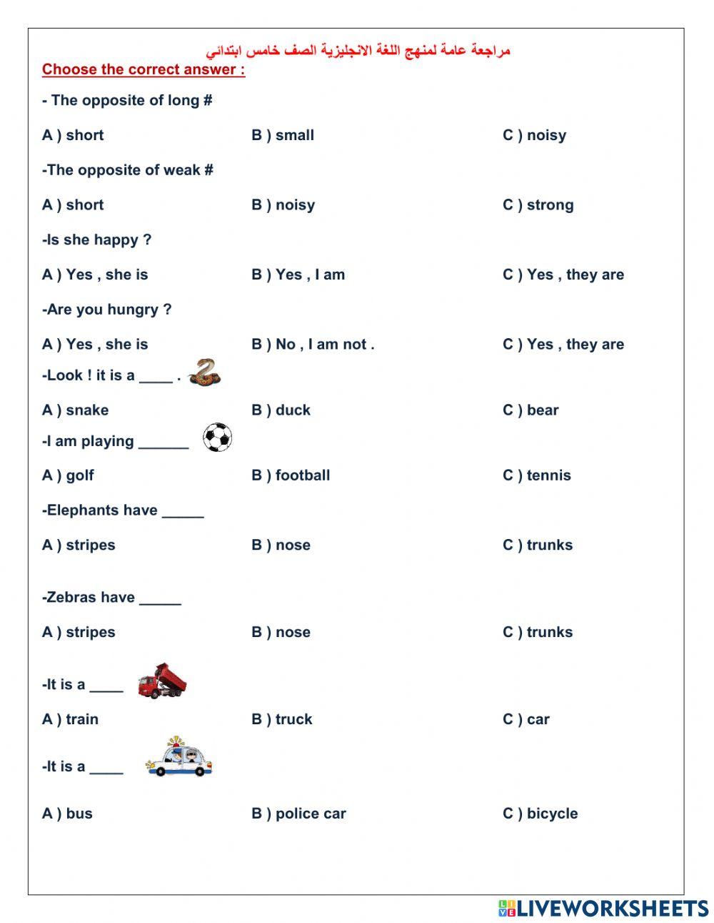 Fifth Grade revision Term2