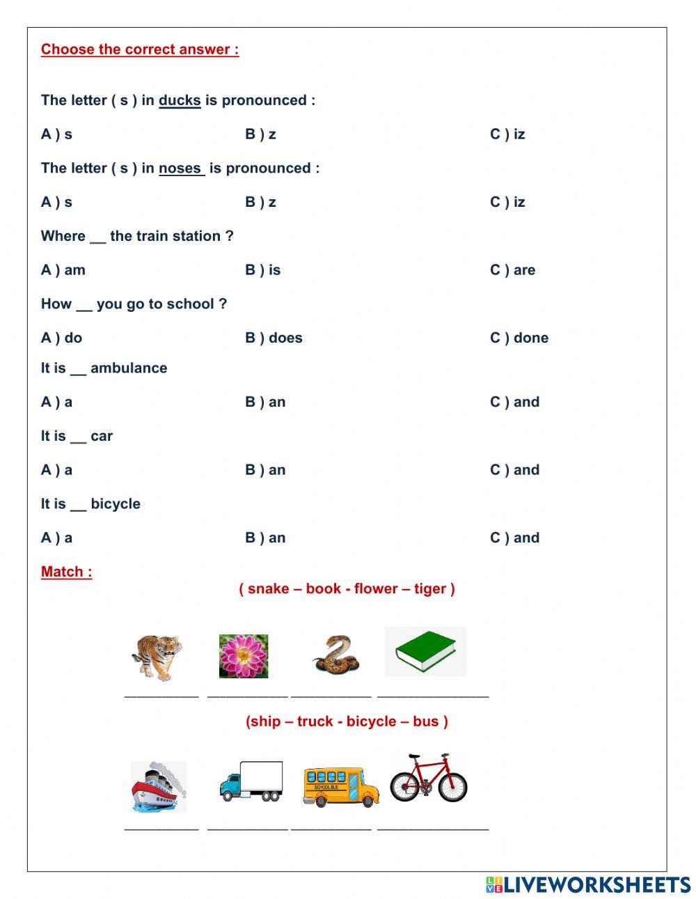 Fifth Grade revision Term2
