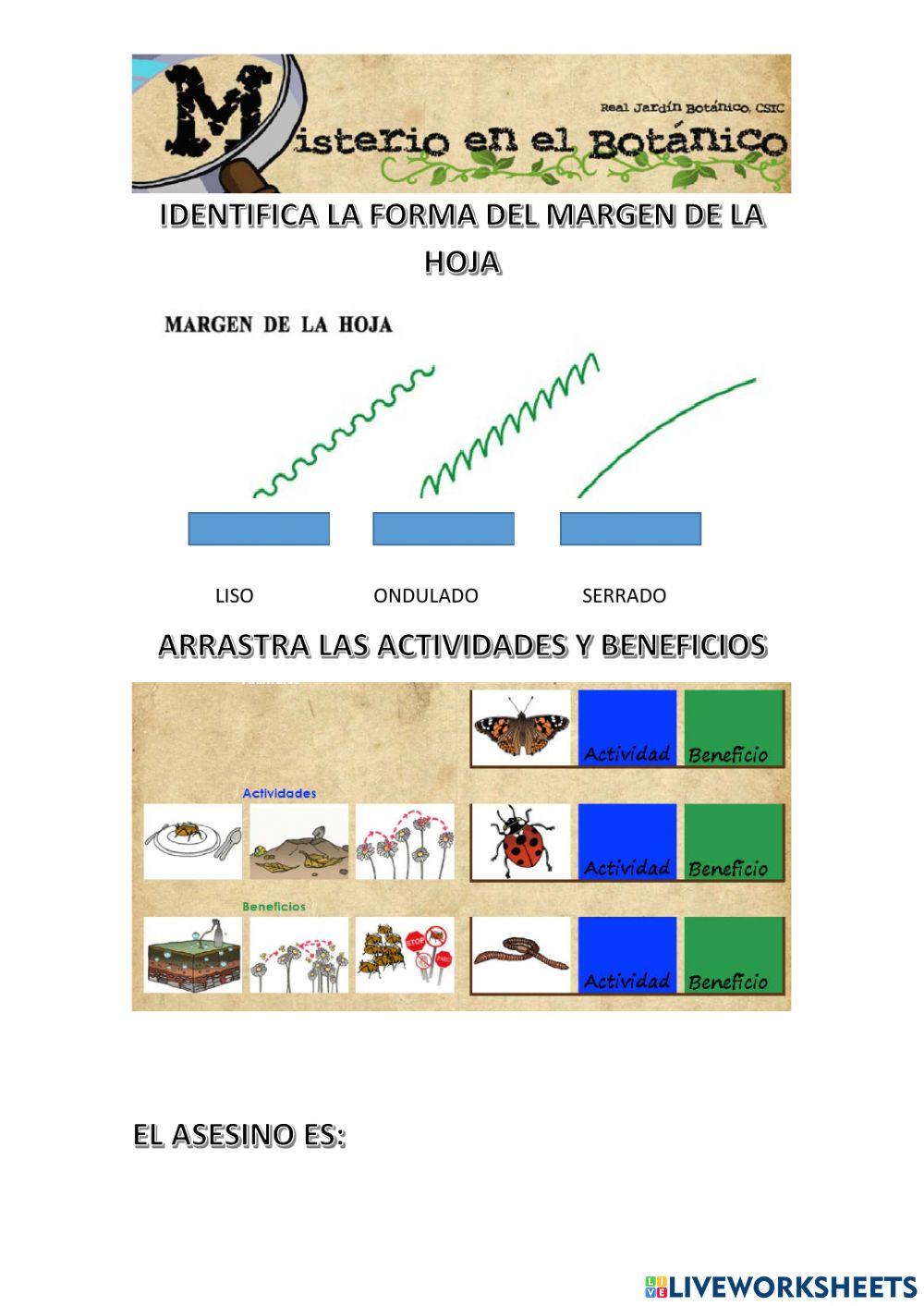 Misterio en el botánico