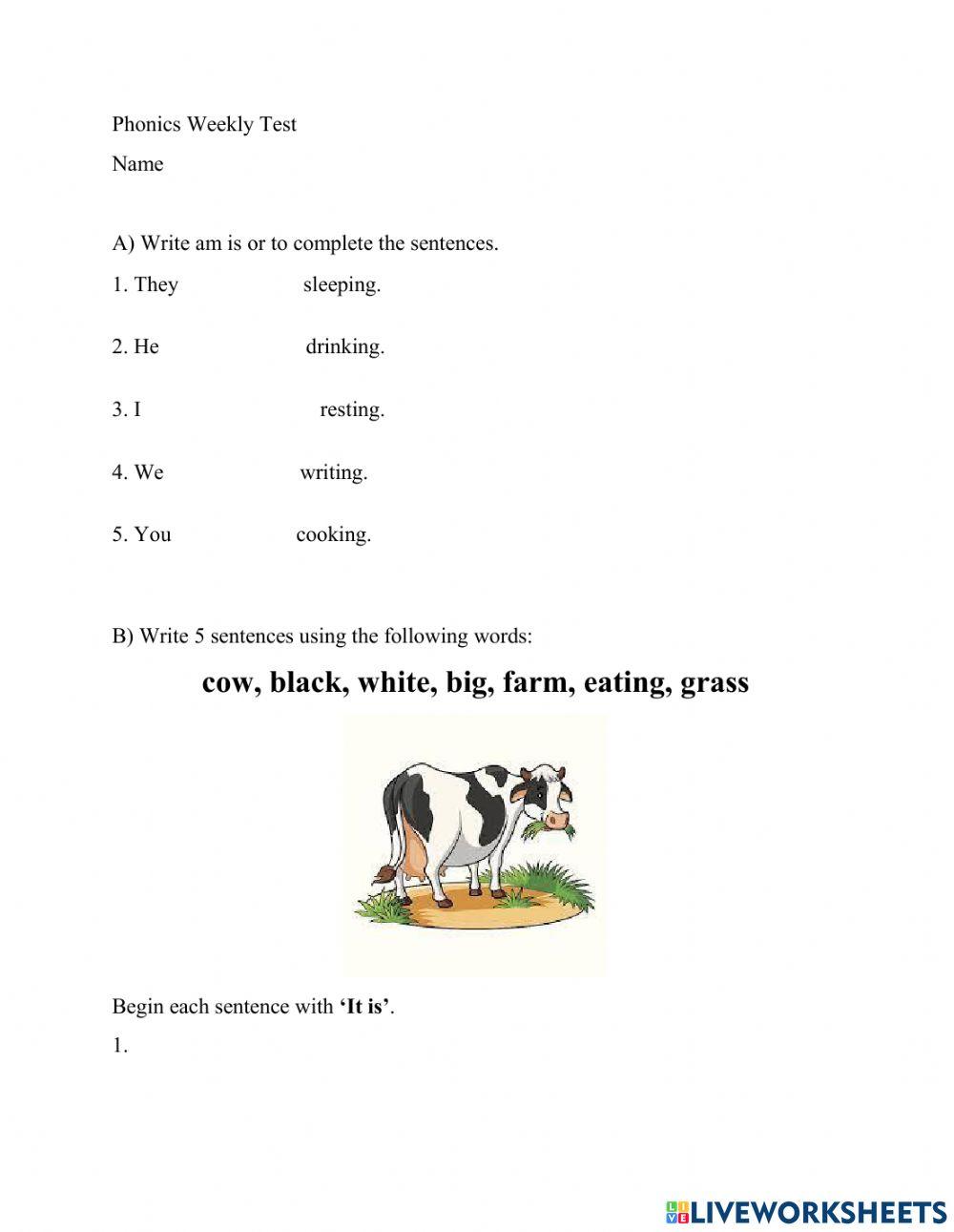 Phonics Weekly Test