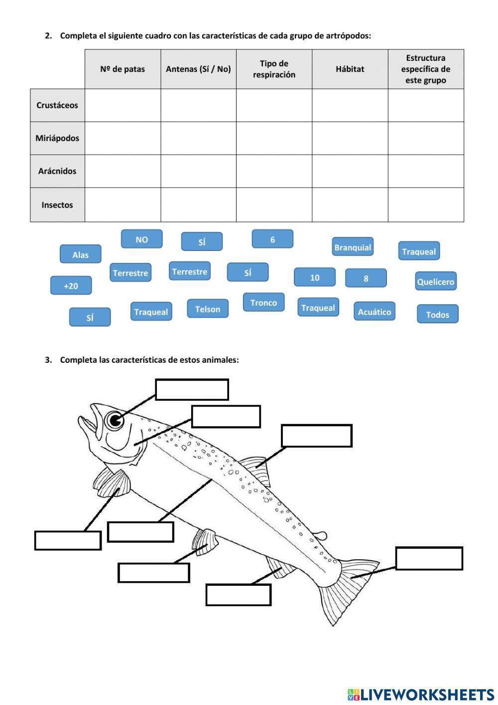 Animales invertebrados (+peces y anfibios)