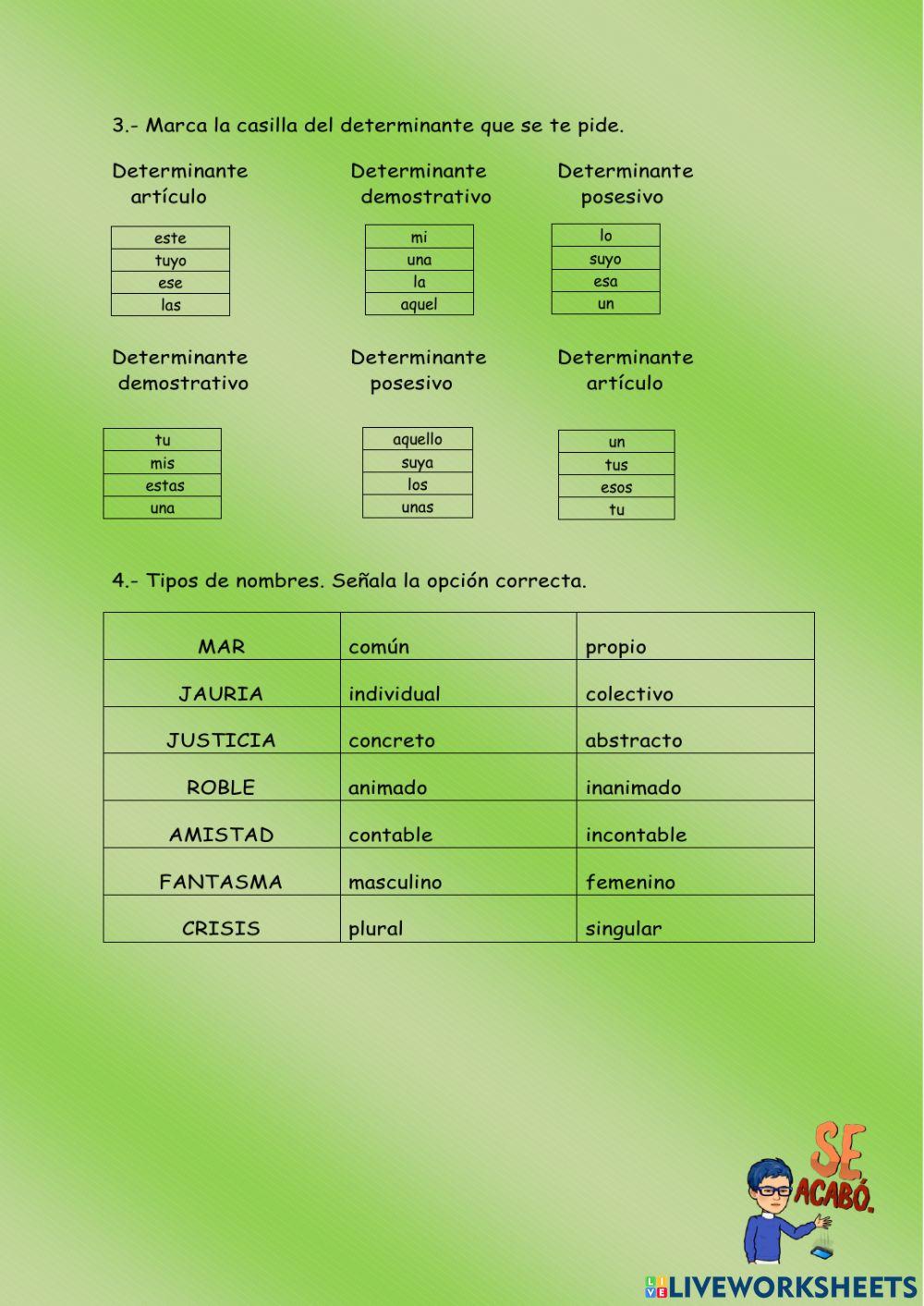 Acentuación, sinónimos , determinantes y tipos de nombres.