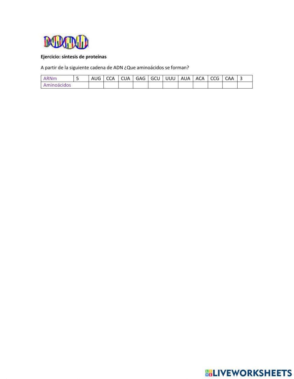 Ejercicio sintesis de proteinas 3