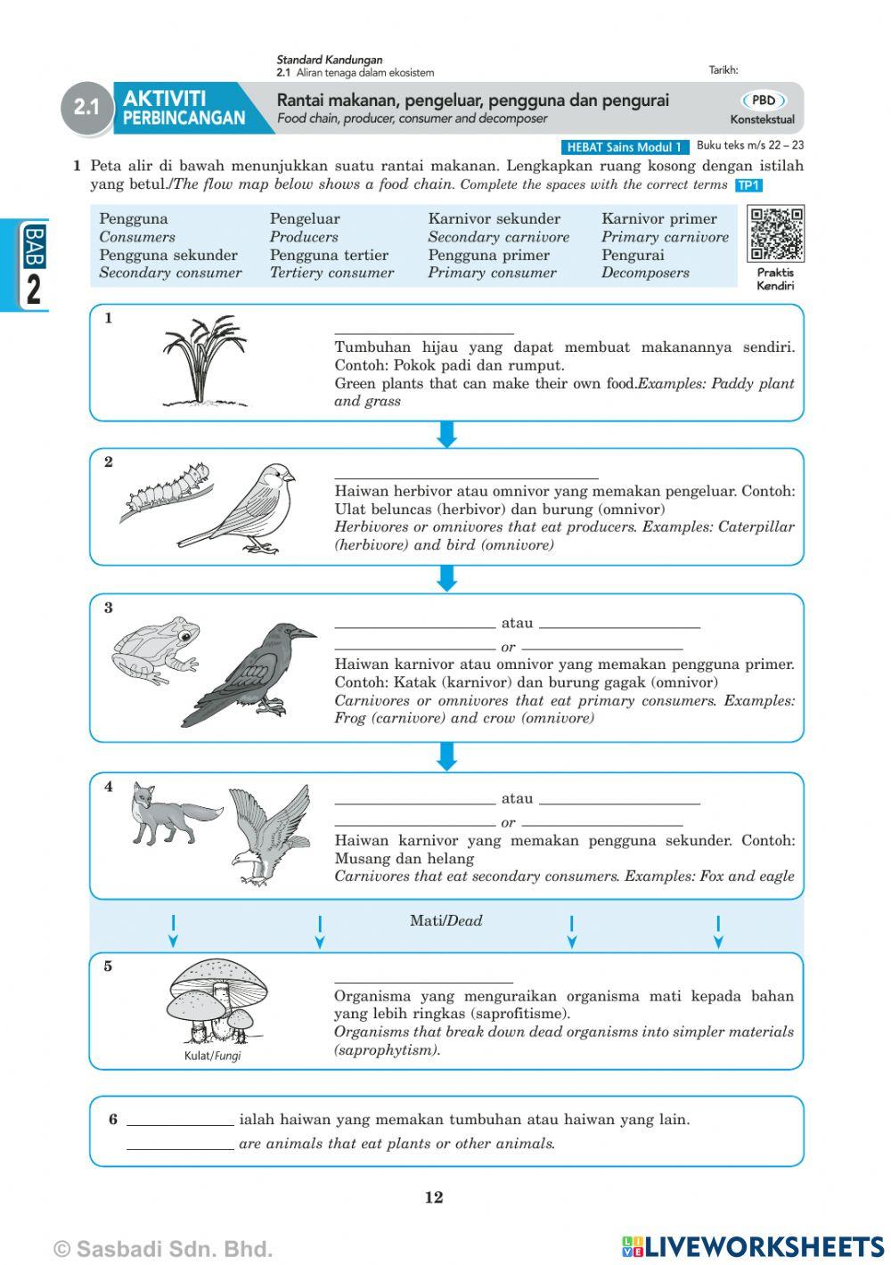 2.1 Aliran tenaga dalam ekosistem