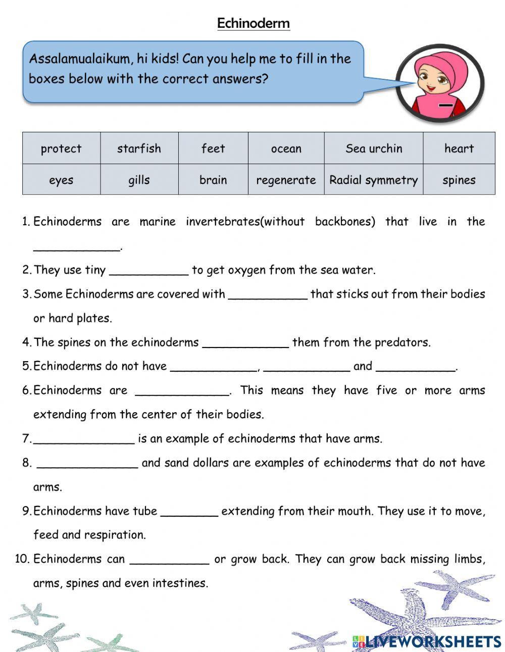 Animals without backbones