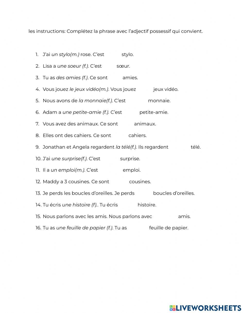 Les Adjectifs Possessifs