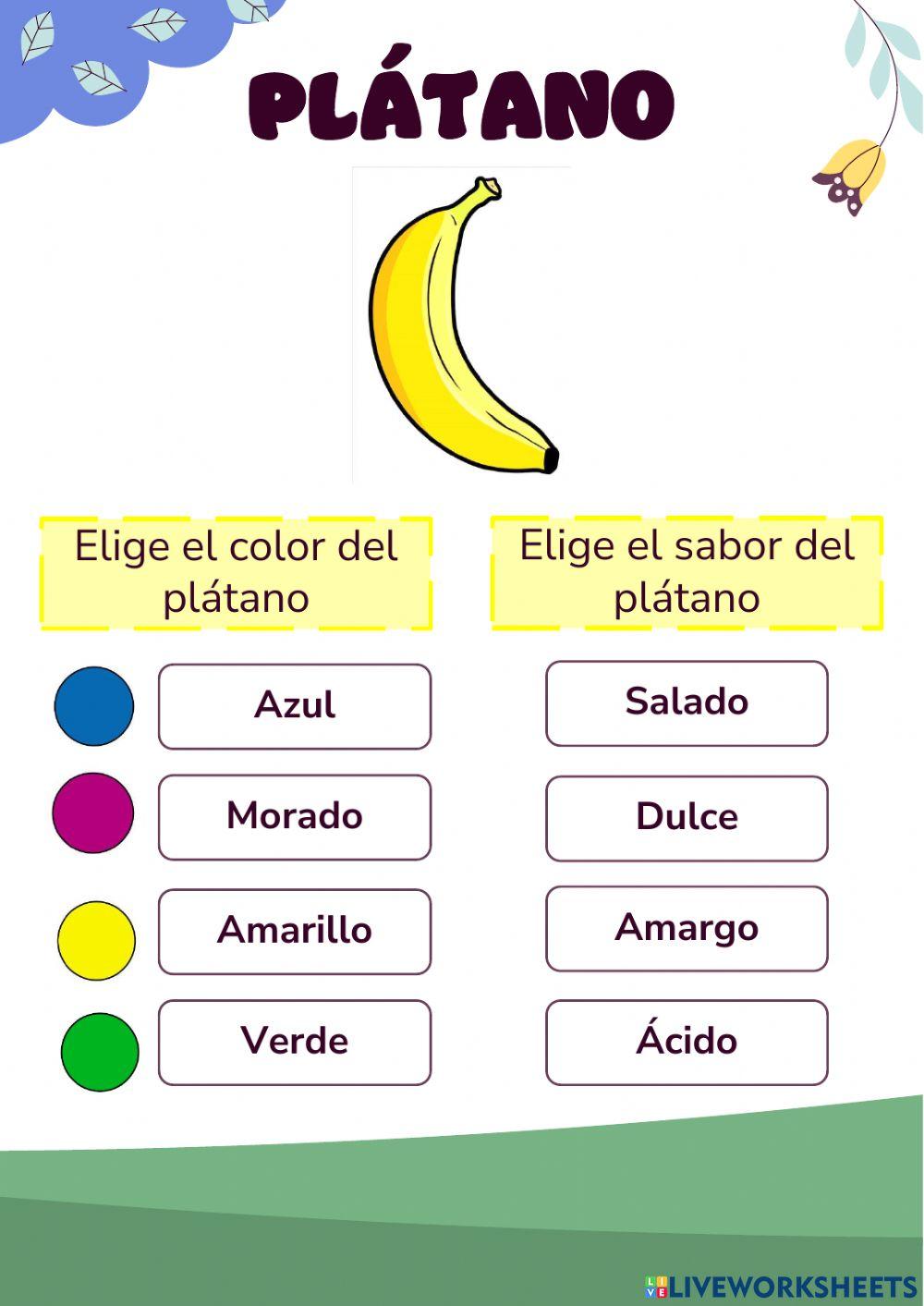 Una aventura de colores y sabores