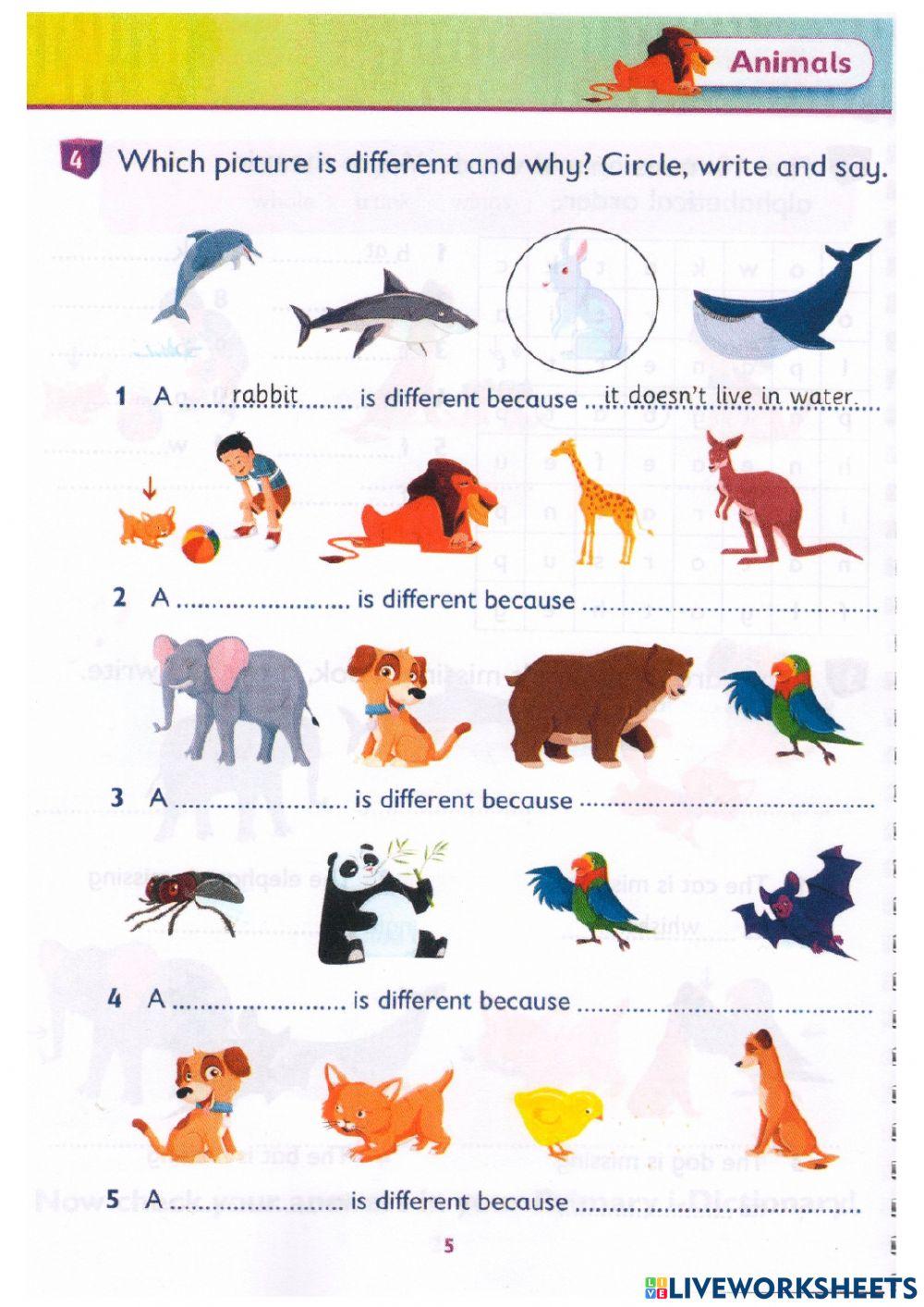 Idict 2-Unit 1-Lesson 12