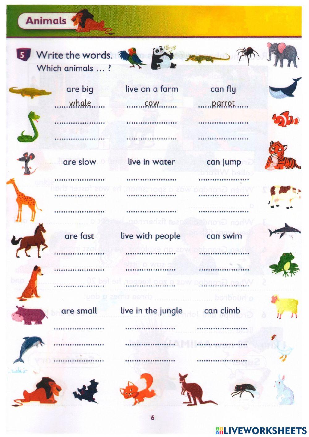 Idict 2-Unit 1-Lesson 12