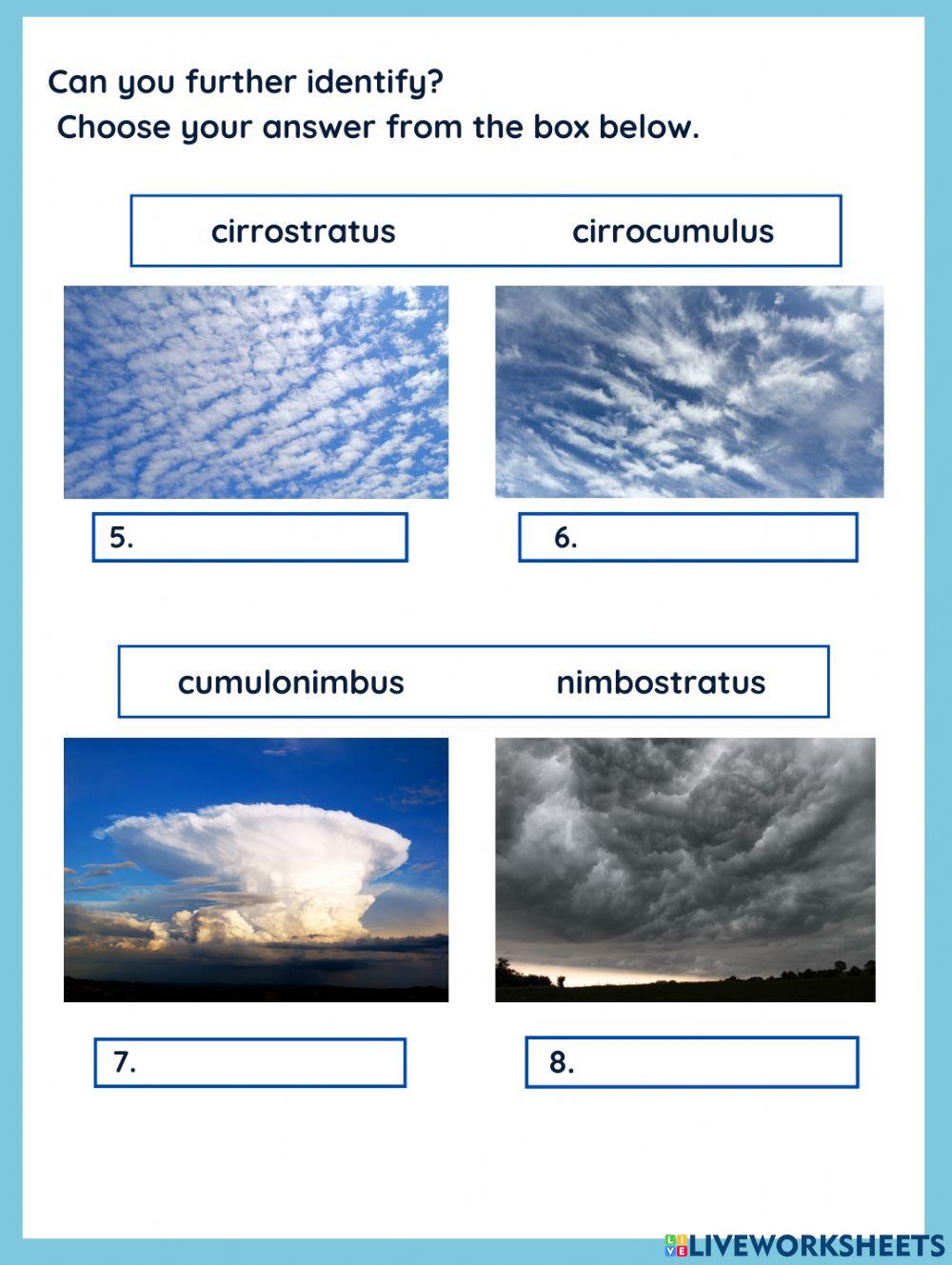 Types of Clouds | Free Interactive Worksheets | 5321320