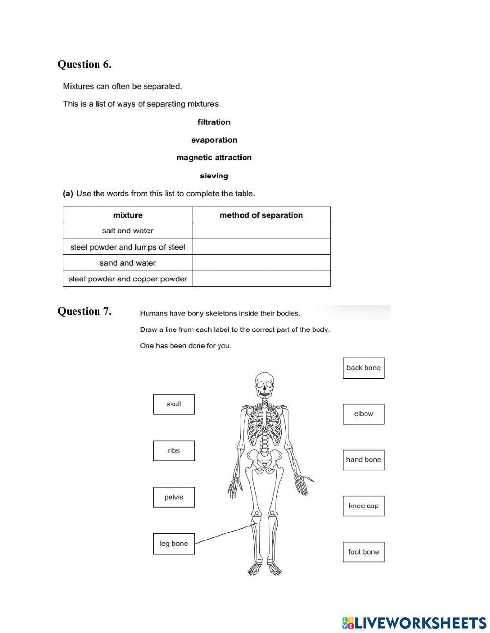 Science Checkpoint Test 4 (Part 1)